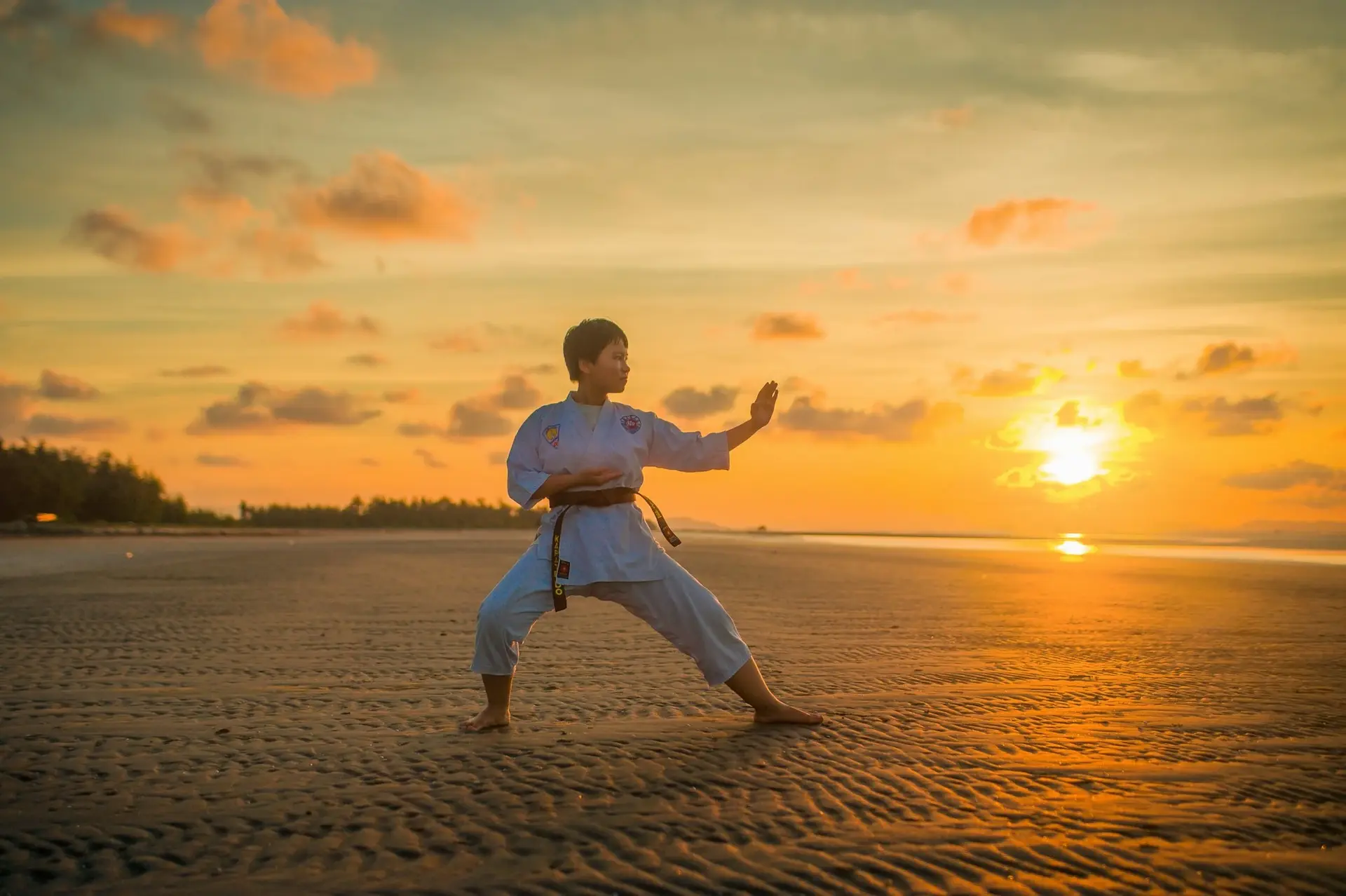 Martial Artist